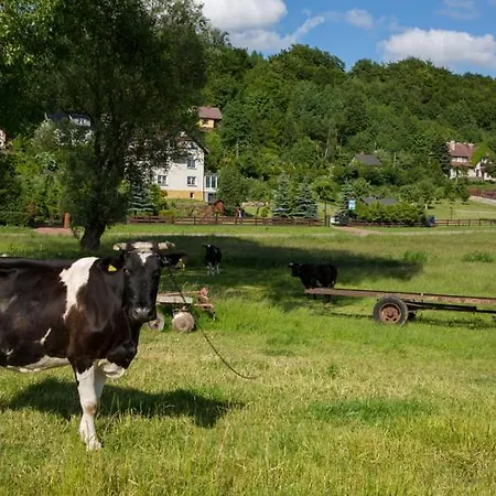 홈스테이 U Daszkow Zawory (Pomerania)