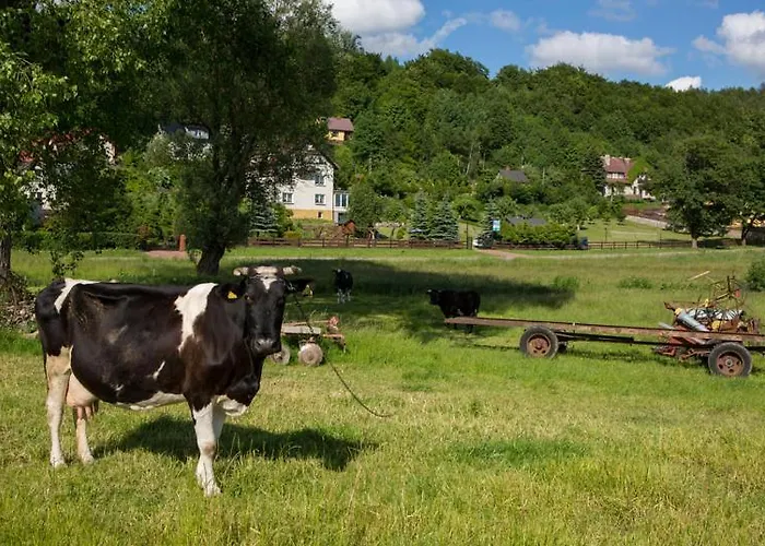בית אירוח U Daszkow Zawory (Pomerania)
