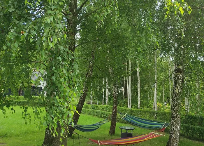 U Daszkow בית אירוח Zawory (Pomerania)